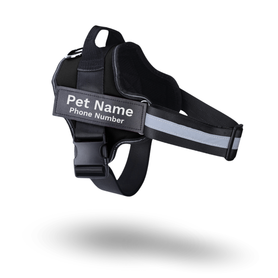 Safe Harness - Ultimate No Pull Custom Dog Harness