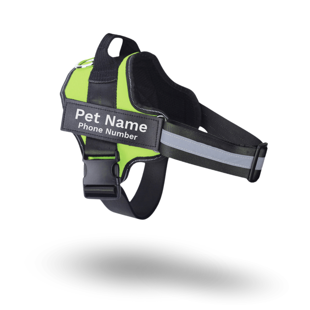 Safe Harness - Ultimate No Pull Custom Dog Harness