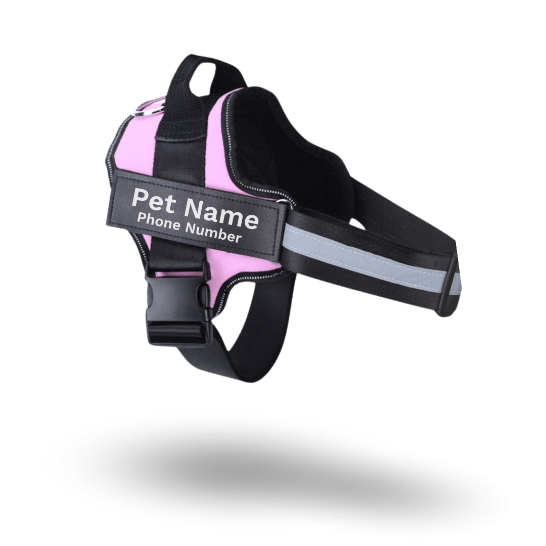 Safe Harness - Ultimate No Pull Custom Dog Harness