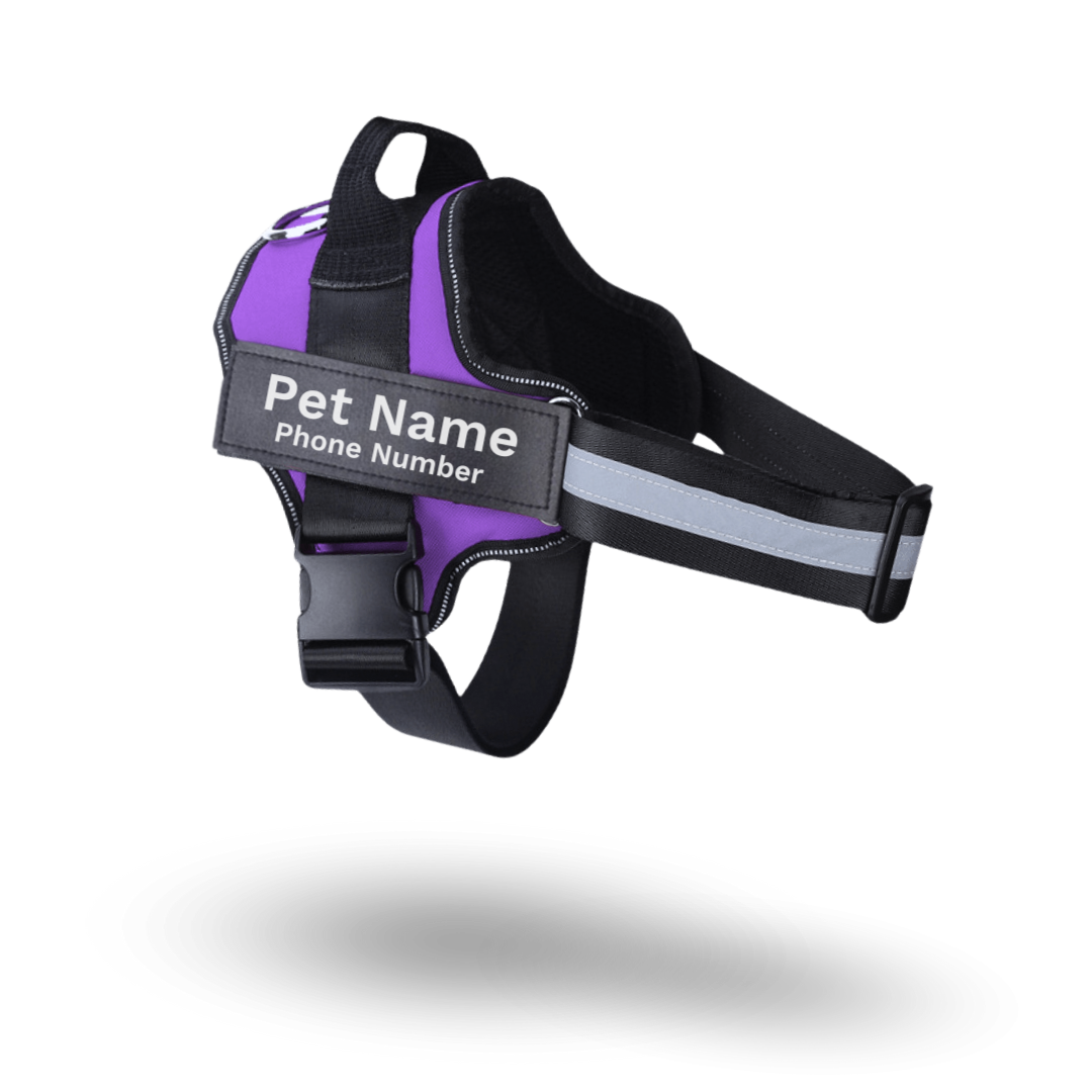 Safe Harness - Ultimate No Pull Custom Dog Harness