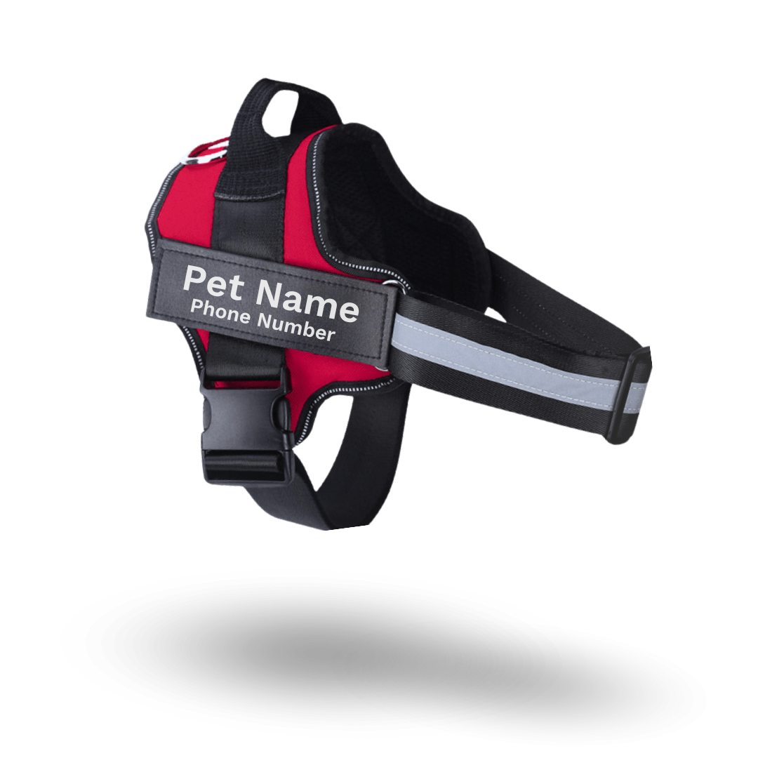 Safe Harness - Ultimate No Pull Custom Dog Harness